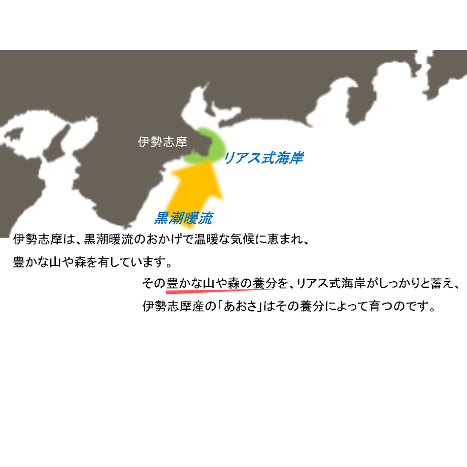 伊勢志摩産あおさ【特選品】13g(ヒトエグサ)